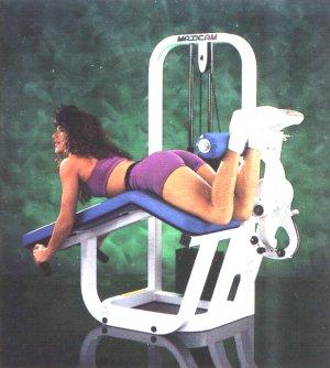 title Leg Curl machine