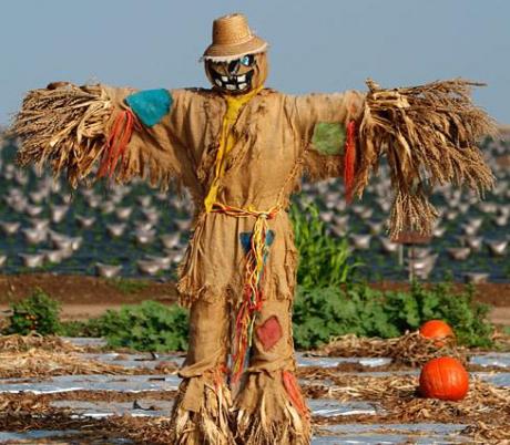 title The Strawman