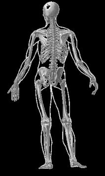 title Joint Mobility