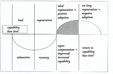 title Supercompensation Curve
